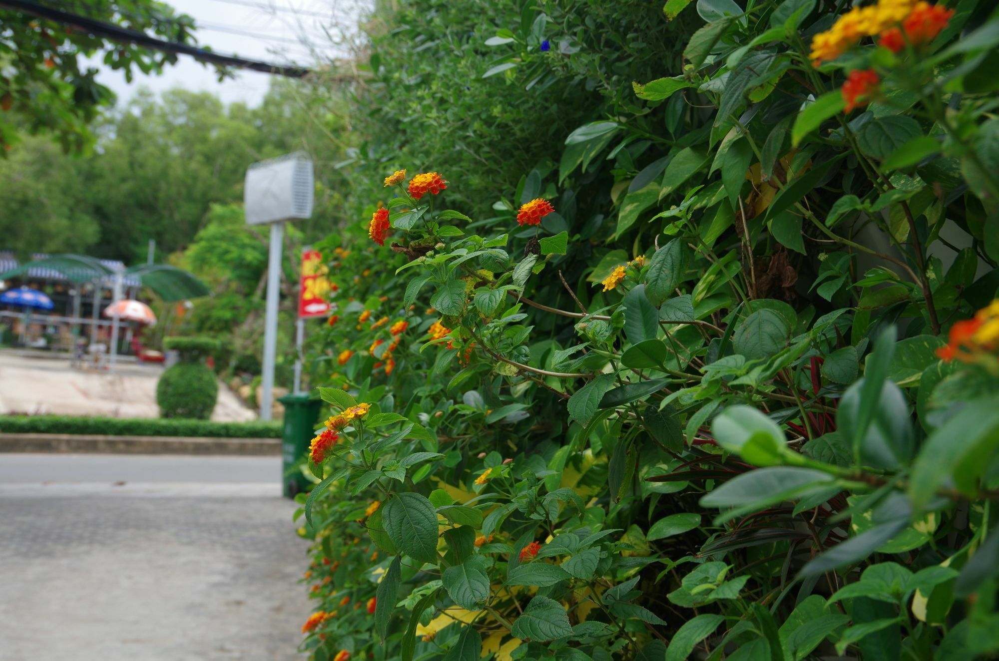 Ngoc Chau Phu Quoc Hotel Exterior photo